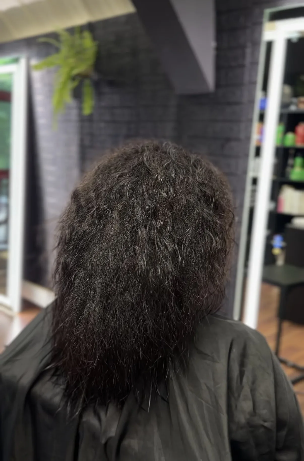 Hair before treatment — frizzy curly hair